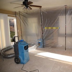 mold remediation